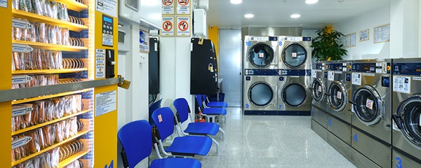 giặt chung đồ lót có lây bệnh không