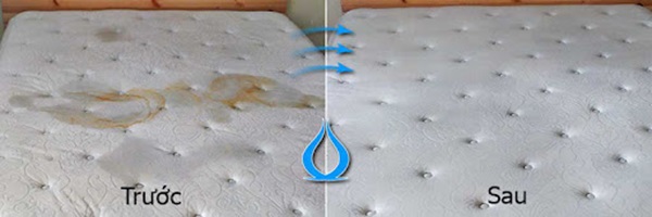 tiệm giặt nệm topper đường hoàng hoa thám gò vấp