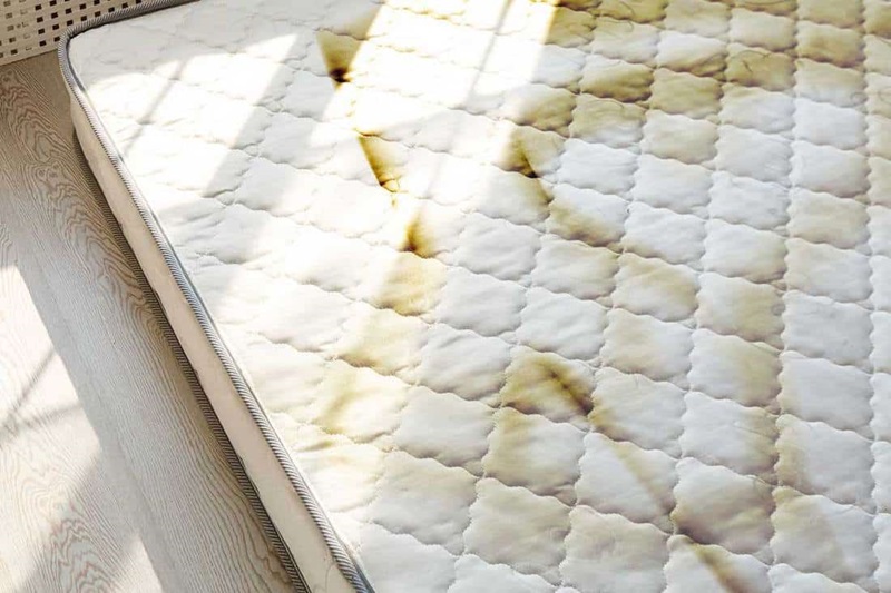 tiệm giặt nệm topper đường trưng nữ vương gò vấp