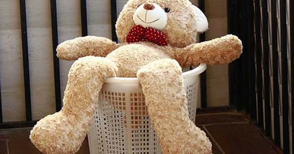 cách giặt gấu bông bằng máy giặt