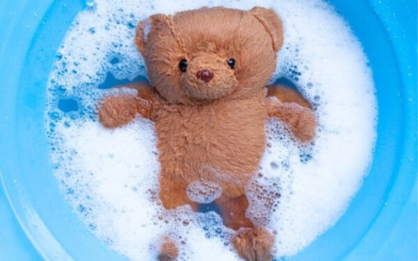 cách giặt gấu bông tại nhà