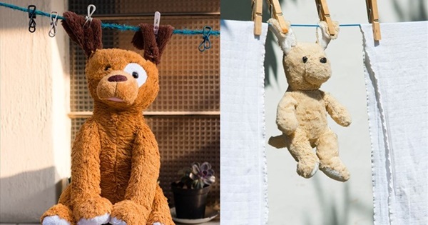 cách giặt thú nhồi bông