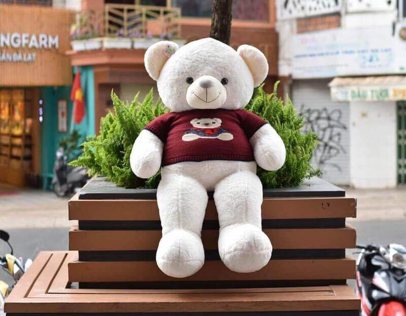 cách vệ sinh gấu bông lớn