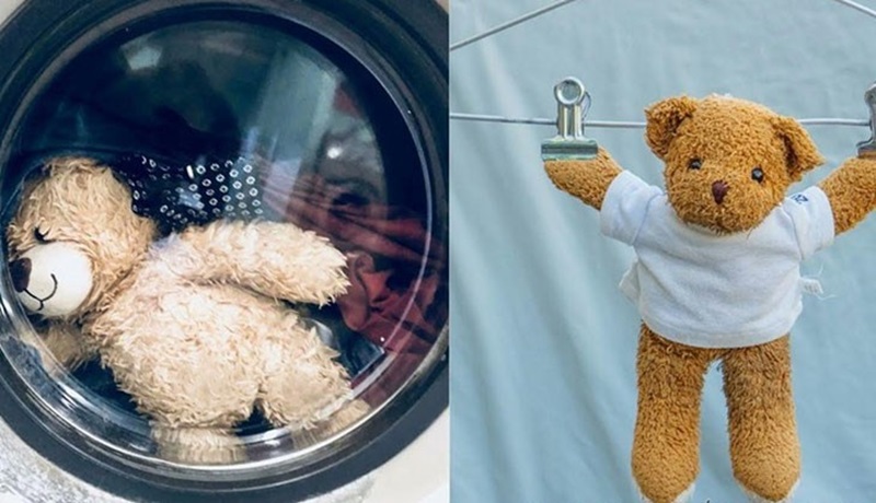 có nên bỏ gấu bông vào máy giặt