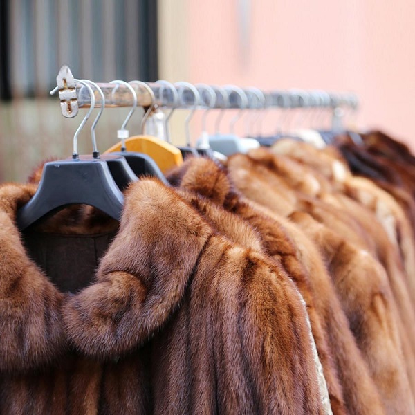 dịch vụ giặt áo lông vũ