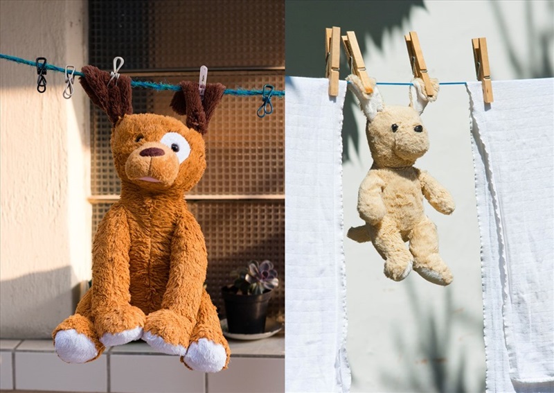 dịch vụ giặt gấu bông tphcm