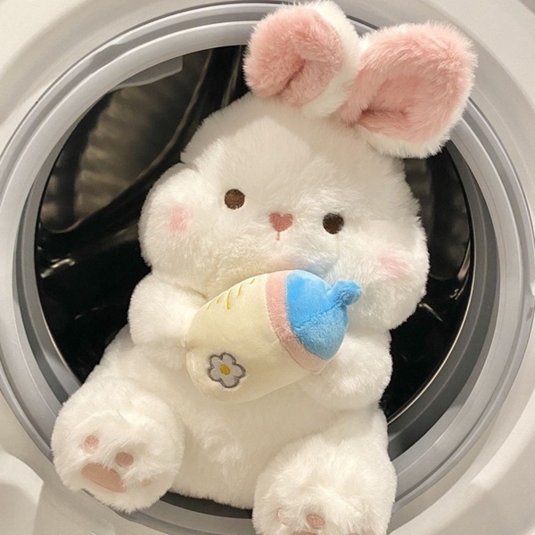 giặt gấu bông tphcm