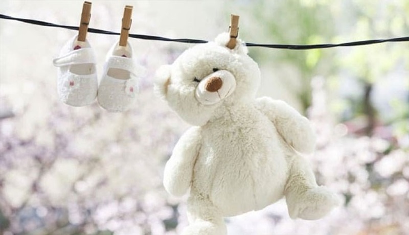 giặt gấu bông tphcm