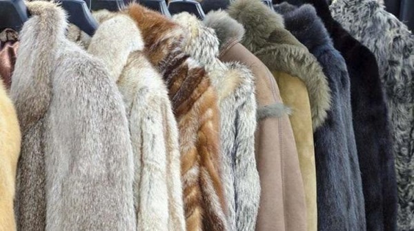 cách giặt áo lông rái cá