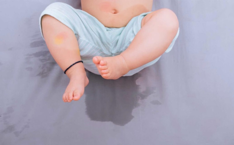 cách khử mùi khai nước tiểu trên nệm