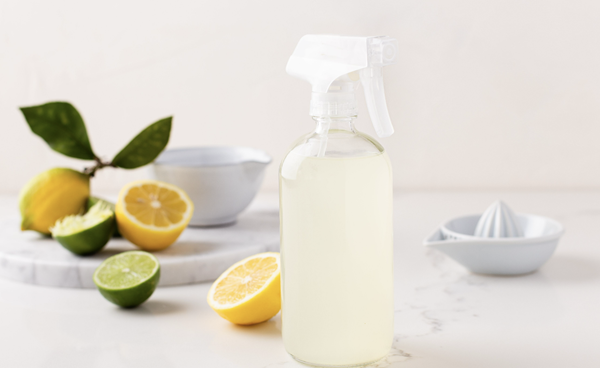 cách khử mùi nước tiểu cho mèo trên nệm topper