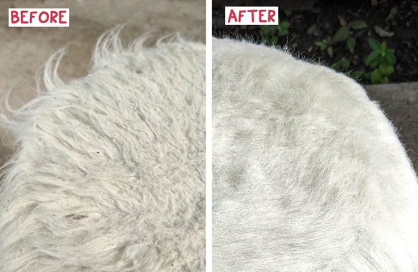 cách xử lý áo lông bị bết