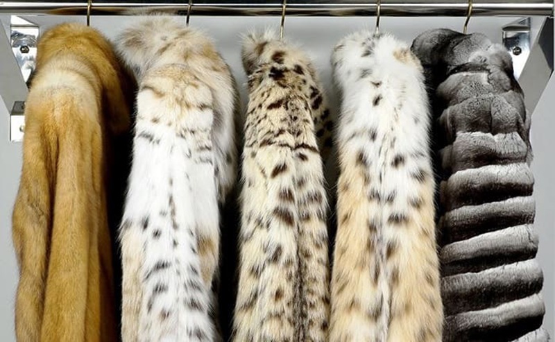 cách xử lý áo lông thú bị cứng