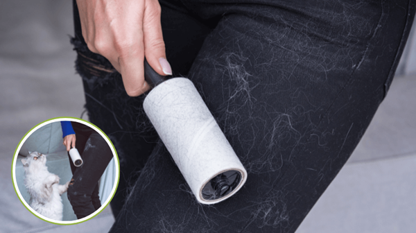 tiệm giặt ủi gò vấp