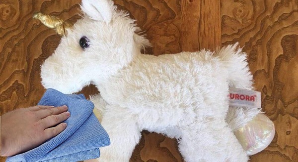 bao lâu nên giặt gấu bông 1 lần