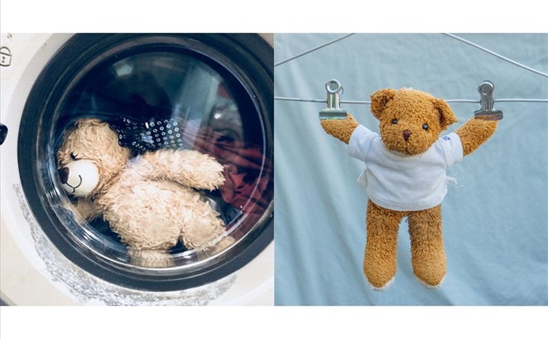 bao lâu nên giặt gấu bông 1 lần